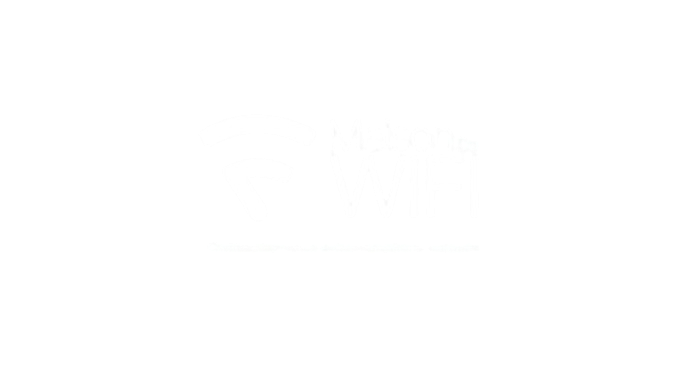 Maison Wifi